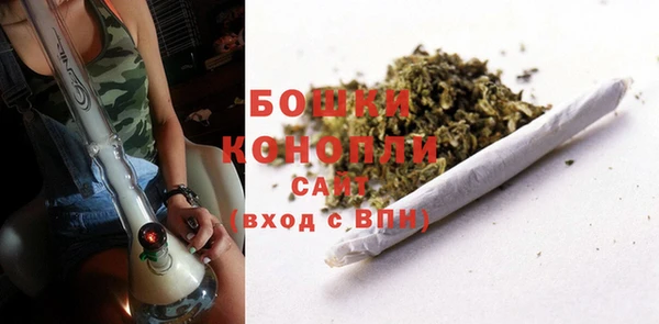 шишки Новодвинск