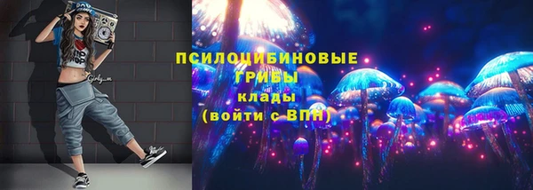 стафф Новокубанск