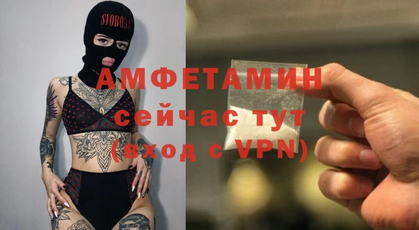 шишки Новодвинск