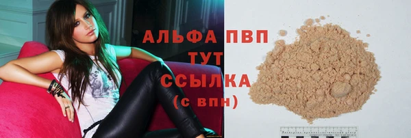 шишки Новодвинск