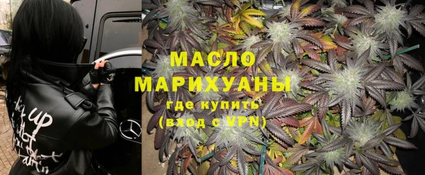 шишки Новодвинск