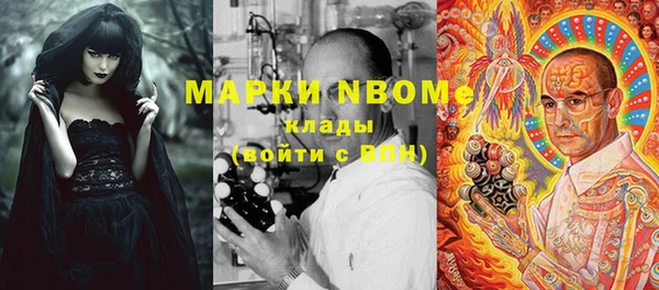стафф Новокубанск