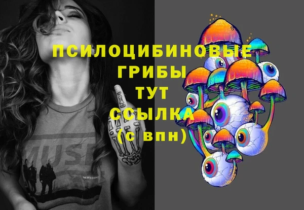 ALPHA PVP Новозыбков