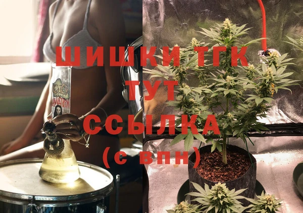 стафф Новокубанск