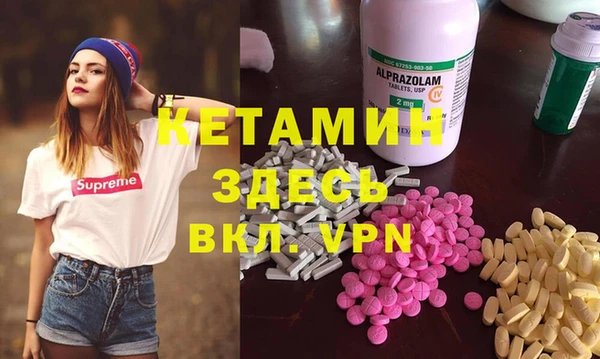 шишки Новодвинск