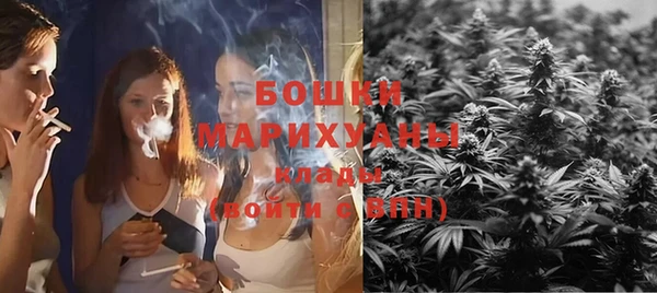 трава Билибино