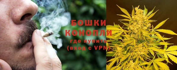 стафф Новокубанск