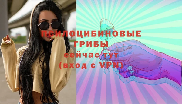 шишки Новодвинск