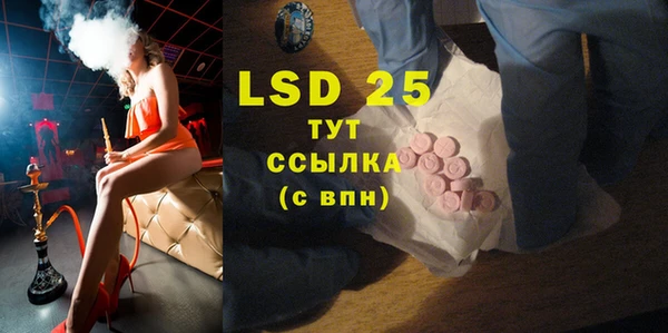 шишки Новодвинск