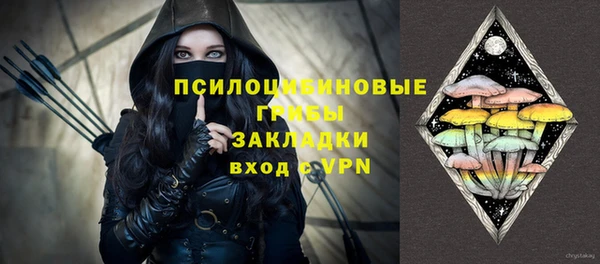 трава Билибино