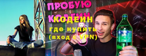 шишки Новодвинск
