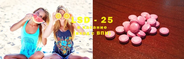 стафф Новокубанск